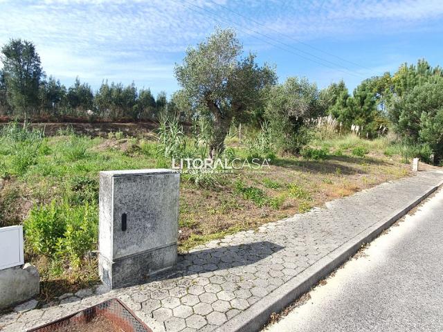 Lote Terreno para Moradia Isolada Mamodeiro