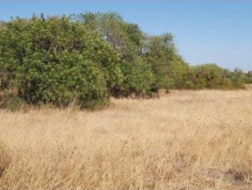 Lagoas, Ferreiras, Ferreiras, Albufeira, Distrito de Faro, Algarve