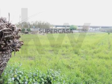 Lote Terreno Ribeira de Frades, 2430m²