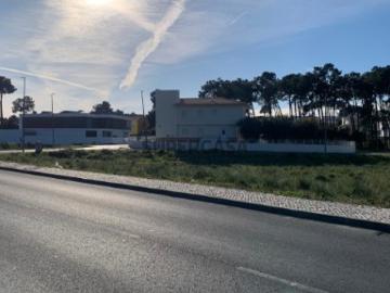 Lote Urbano Verdizela