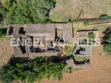 Lote Urbano com Terreno Agrícola e Potencial