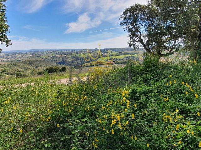 Lote urbano construção moradia Óbidos