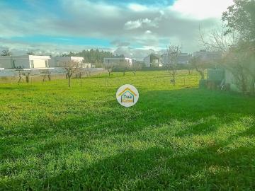 Lote Urbano em Assilhó, Albergaria a Velha