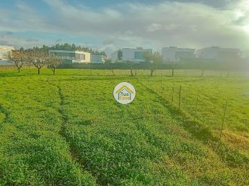 Lote Urbano em Assilhó, Albergaria a Velha