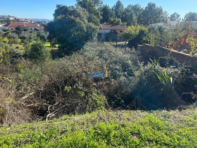 Lote Urbano em Cebolais de Cima 585m2