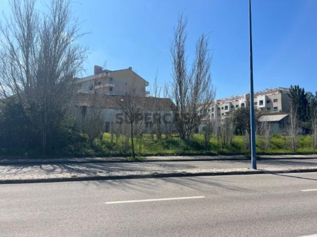 Lote Urbano Montijo