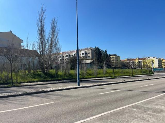 Lote Urbano Montijo