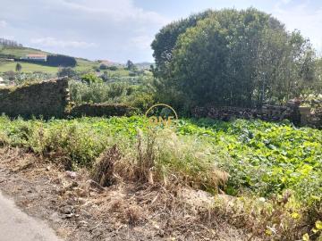 Lote Urbano na Sapataria, Sobral Monte Agraço