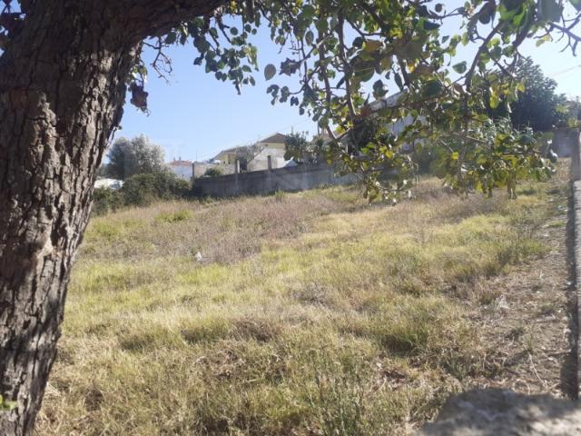 Lote Urbano para Construção de Moradia, c/ bons acessos