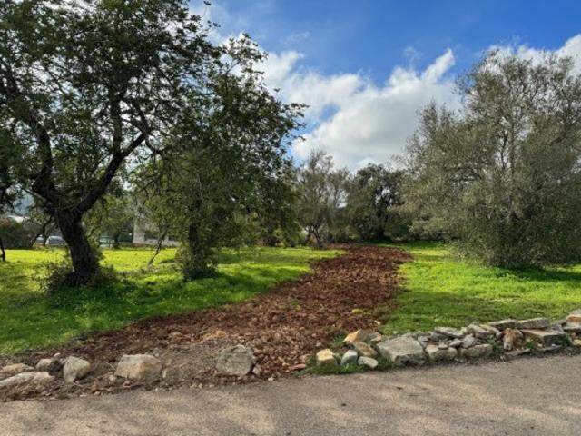Lote urbano para construção de moradia, São Brás de Alportel, Algarve