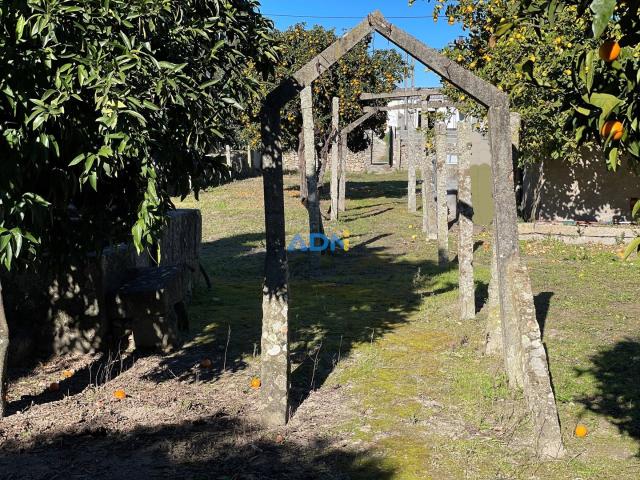 Lote Urbano para venda