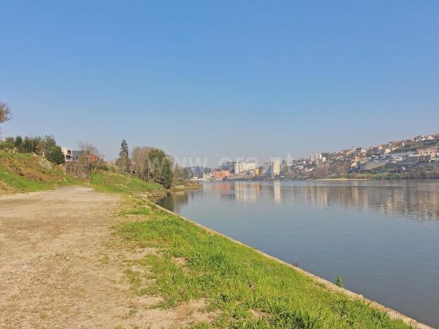 Lote / Vila Nova de Gaia, Oliveira do Douro