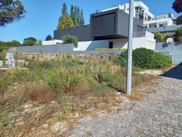 Lote / Vila Nova de Gaia, Oliveira do Douro