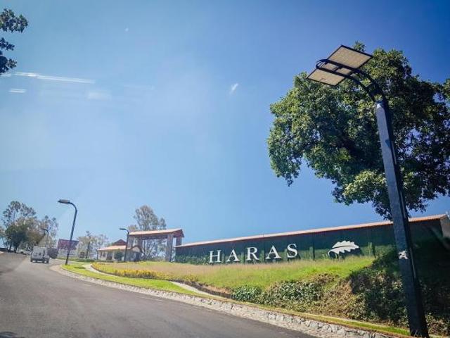 Lote 09 en venta Haras del Bosque, La Joya 4