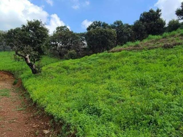 LOTE 001: LOS ENCINOS, TEJUPILCO