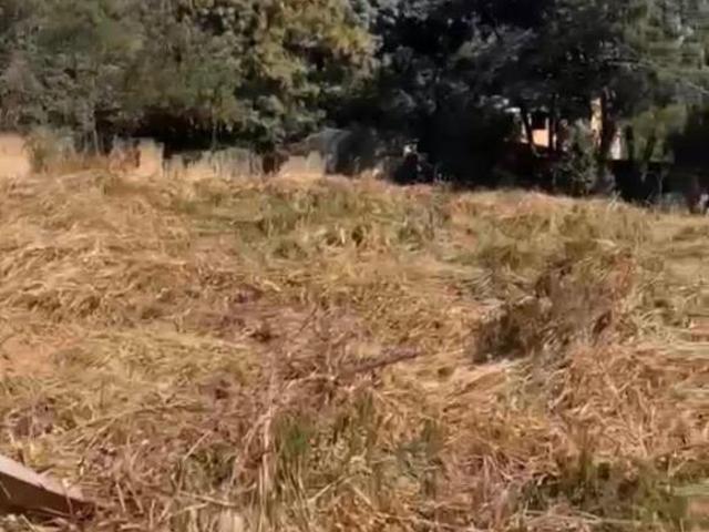 Lote 1500m² em São Jose da Lapa
