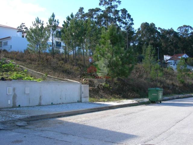 Lote