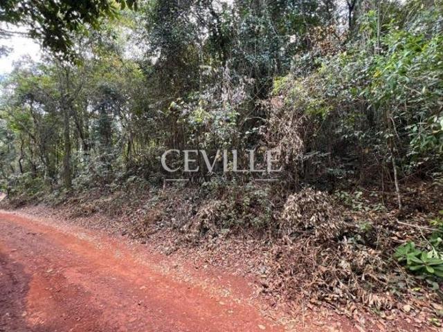 Lote 1.150 m² | rua sem saída