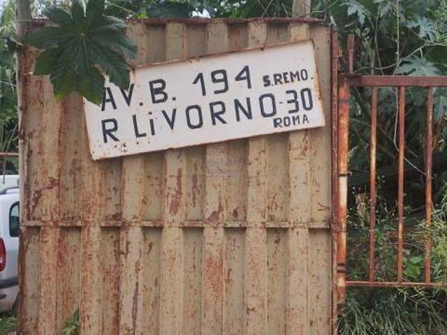 lote 250 m2