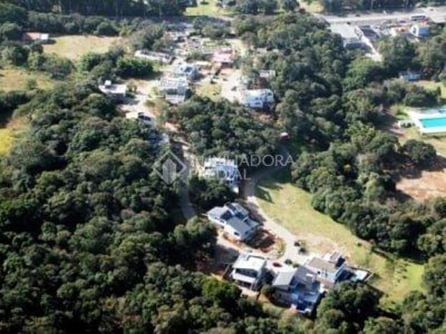 Lote 29