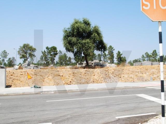Lote 2080 | Terreno para venda em Belverde | Rua das Túlipas