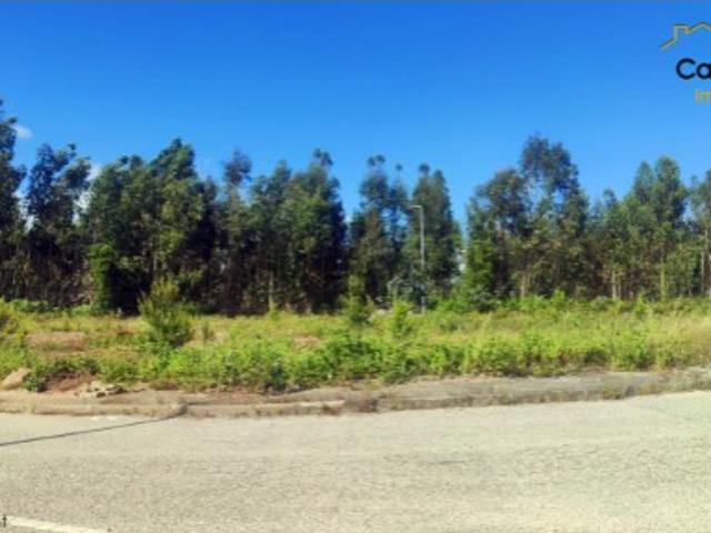 Lote
