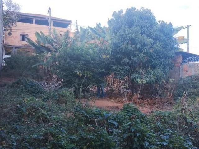LOTE 360M2 MURADO