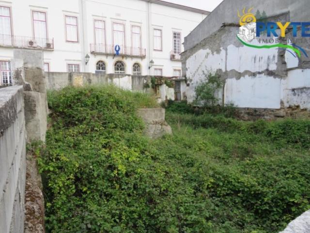 Lote