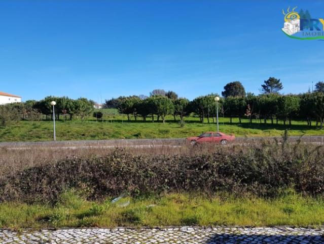 Lote