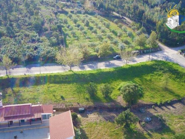Lote