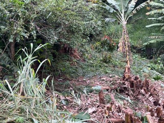 LOTE 420 M2