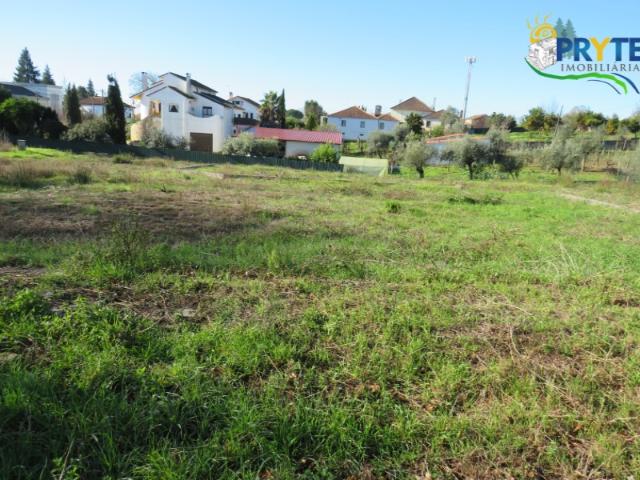 Lote