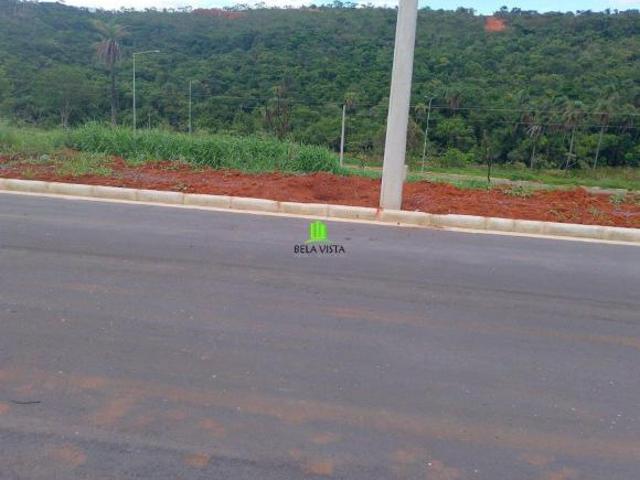Lote 439 m²