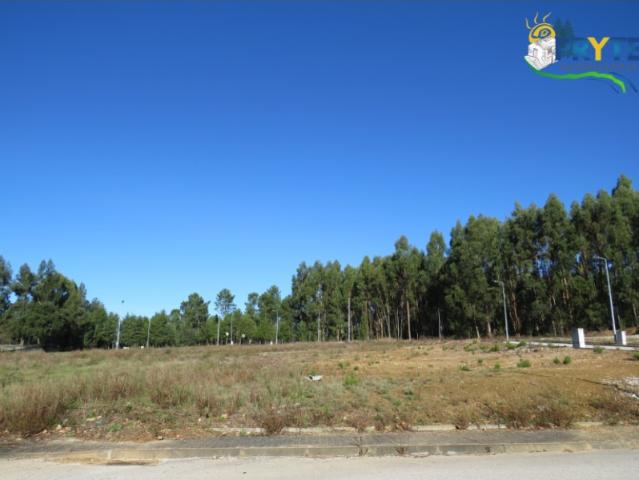 Lote