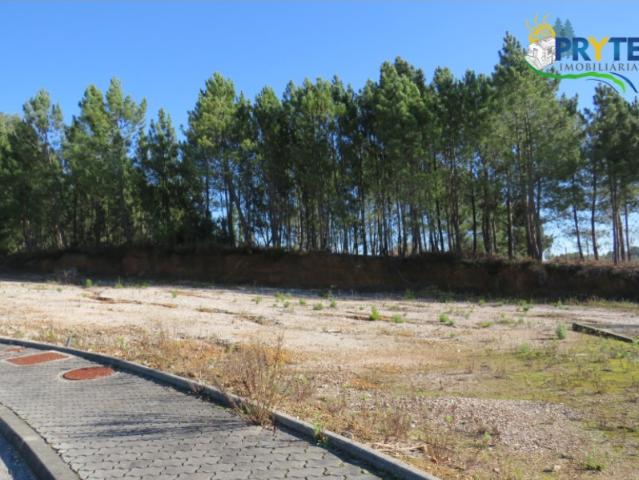 Lote