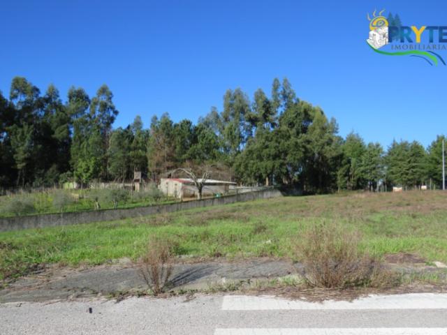 Lote
