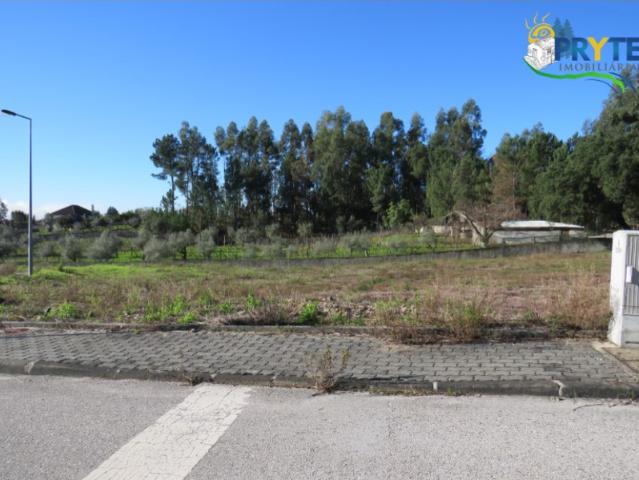 Lote