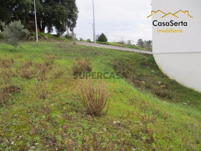 Lote
