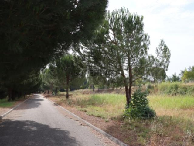 Lote 67 Lote para construção de moradia geminada