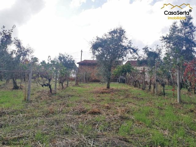 Lote