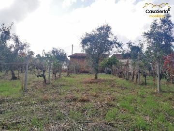 Lote