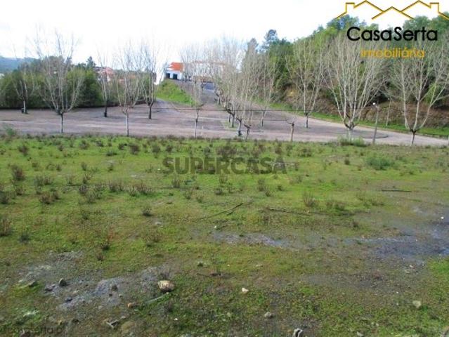 Lote