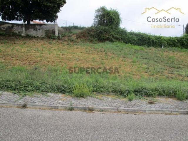 Lote