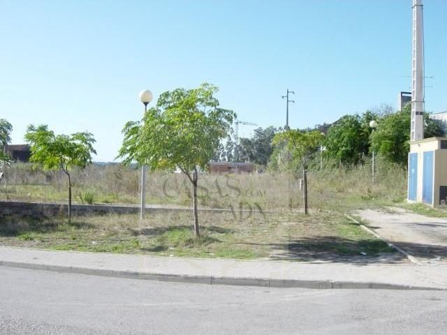 Loteamento Aprovado para Construção Zona Central de Mamodeiro