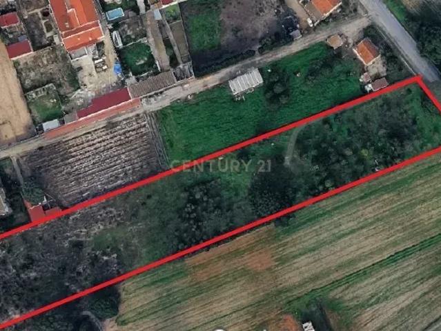 Loteamento com PIP Aprovado – 12 Moradias Quinta do Anjo, Palmela