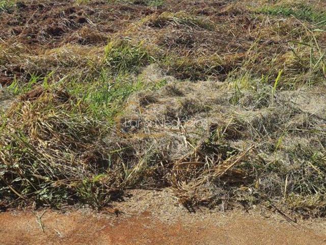 Loteamento Completo em Residencial Monjolo, Patos de Minas/MG