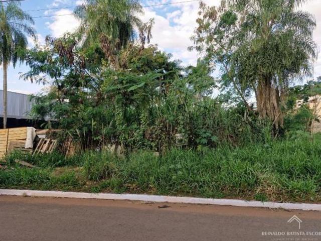 Loteamento e Condomínio para venda em Jardim Batistão, Campo