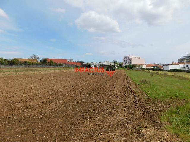 Loteamento urbano com 9800m2