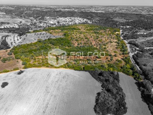 Terreno Para Construção Venda em Azoia de Cima e Tremês,Santarém