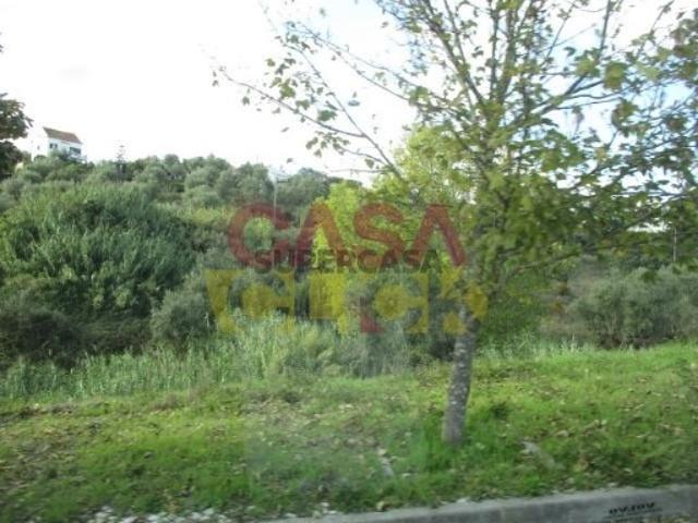 Loteamento Venda em Abrantes São Vicente e São João e Alferrarede,Abrantes